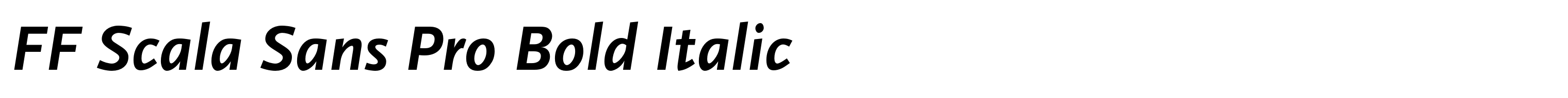 FF Scala Sans Pro Bold Italic